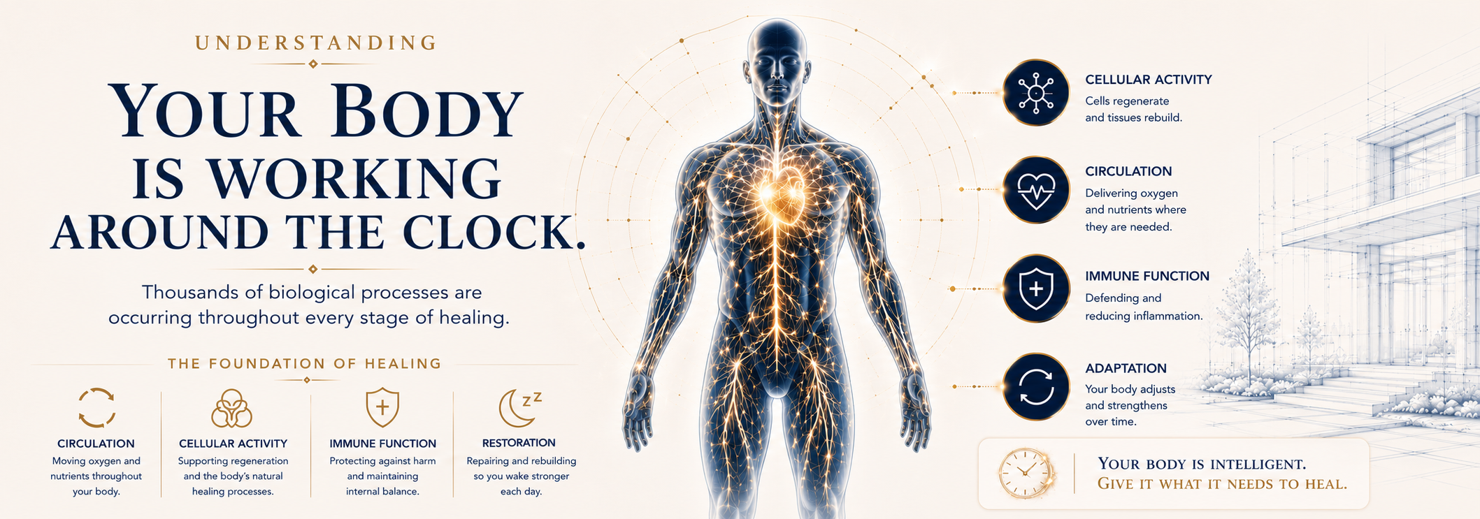 Understanding Your Body