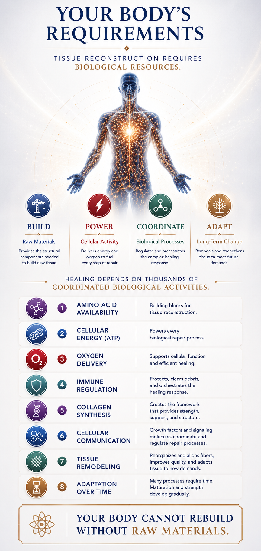 Your Body's Requirements